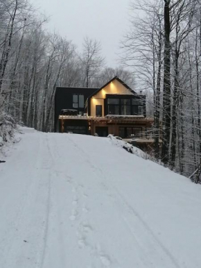 loft in the mountains, near Bromont
